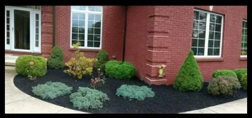 Local yard cleanup service for beautiful yards in Lackawanna, NY by Upstate Landscape & Design