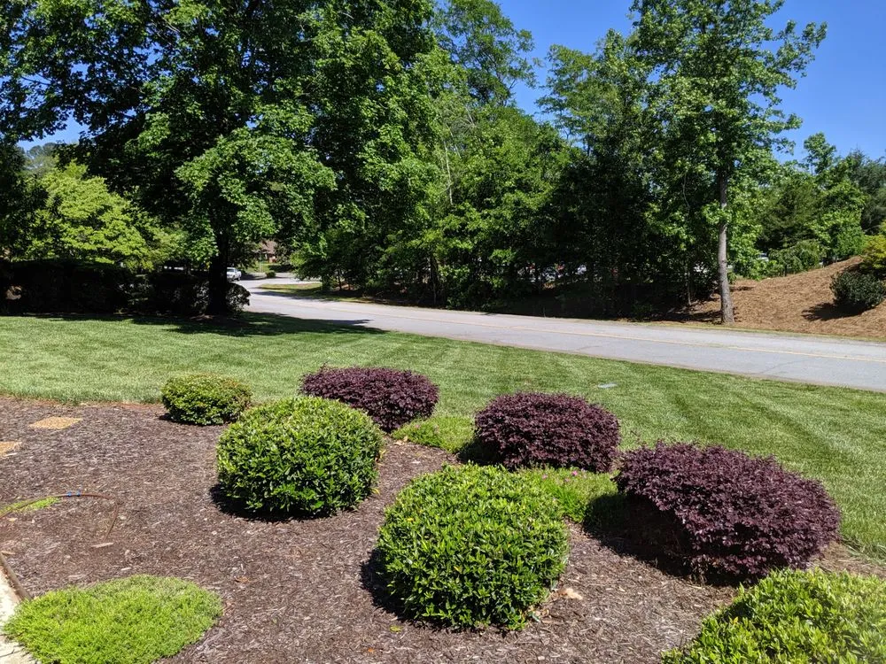 Reliable landscape design with custom design across Anderson, SC - Upstate Landscapers