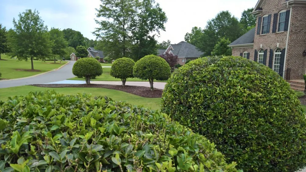 Local yard cleanup service in Anderson, SC - Upstate Landscapers