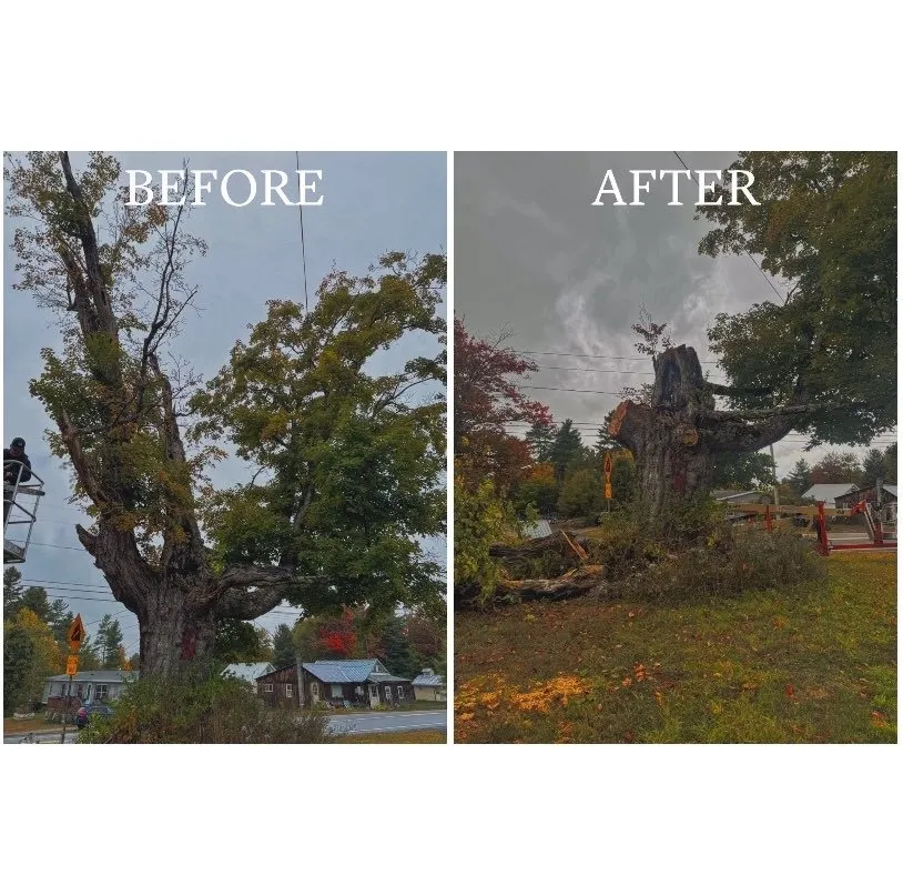 Professional landscaping services in Queensbury, NY - Upstate Landscaping