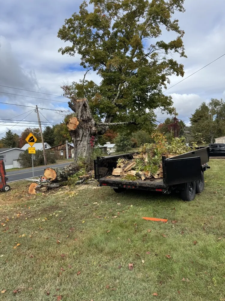 Trusted lawn care service experts serving Queensbury, NY - Upstate Landscaping