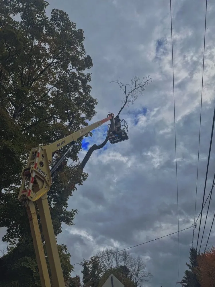 Local landscape installation in Queensbury, NY by Upstate Landscaping