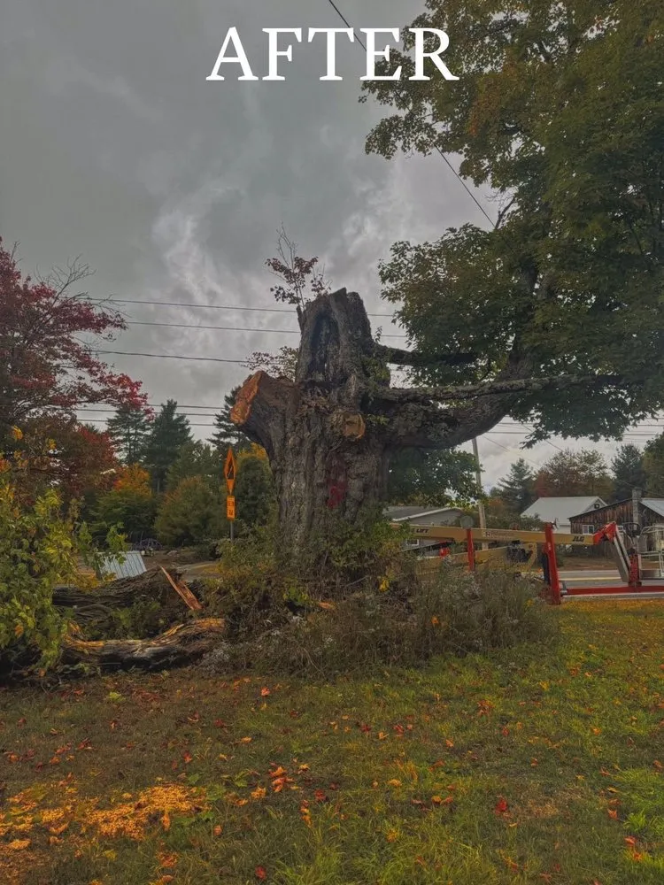 Expert lawn mowing service experts serving Queensbury, NY - Upstate Landscaping