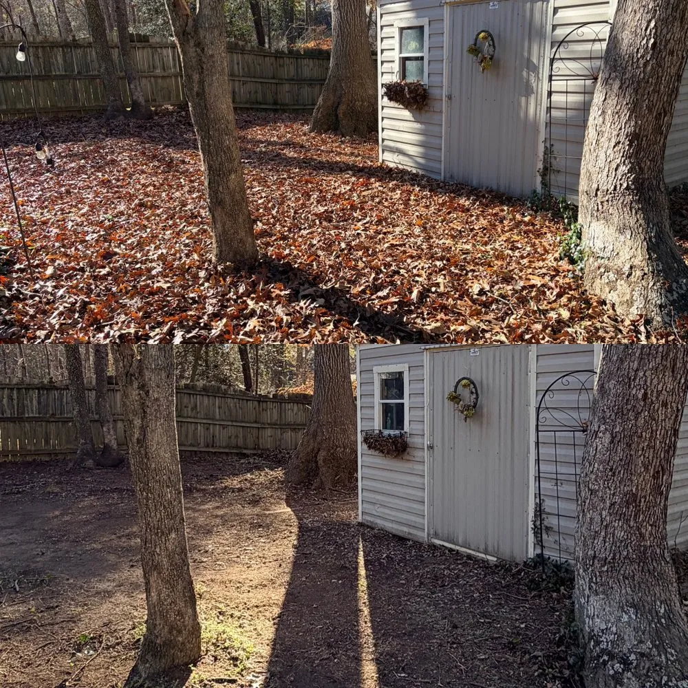 Trusted yard cleanup service in Westminster, SC - Upstate Lawn & Land