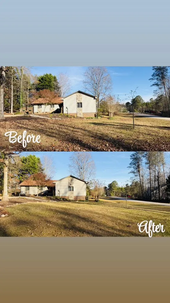 Reliable yard cleanup service experts serving Westminster, SC - Upstate Lawn & Land