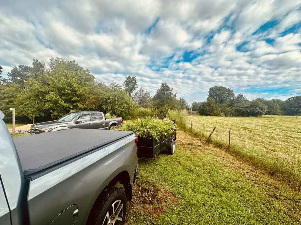 Custom landscape design in Westminster, SC by Upstate Lawn & Land