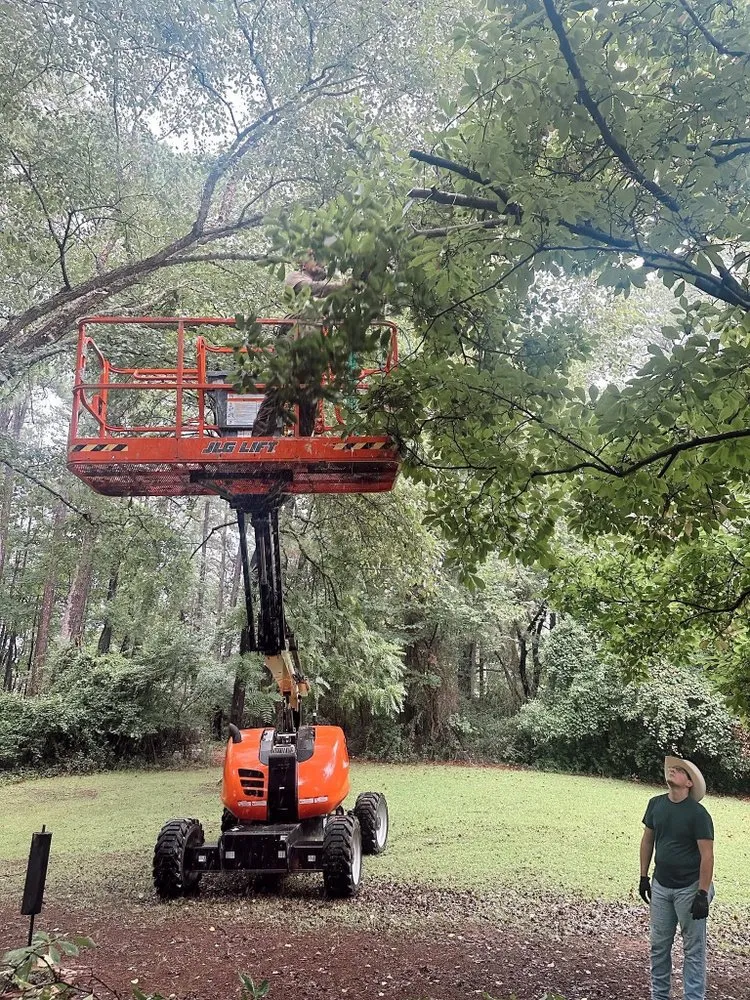 Reliable yard cleanup service experts serving Westminster, SC - Upstate Lawn & Land