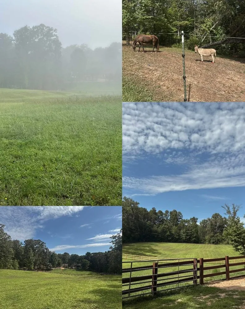 Trusted landscape design for outdoor upgrades across Westminster, SC - Upstate Lawn & Land