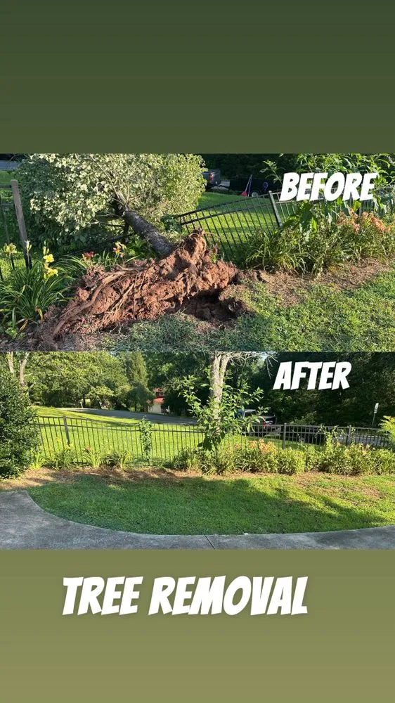 Local lawn care service for beautiful yards in Westminster, SC by Upstate Lawn & Land