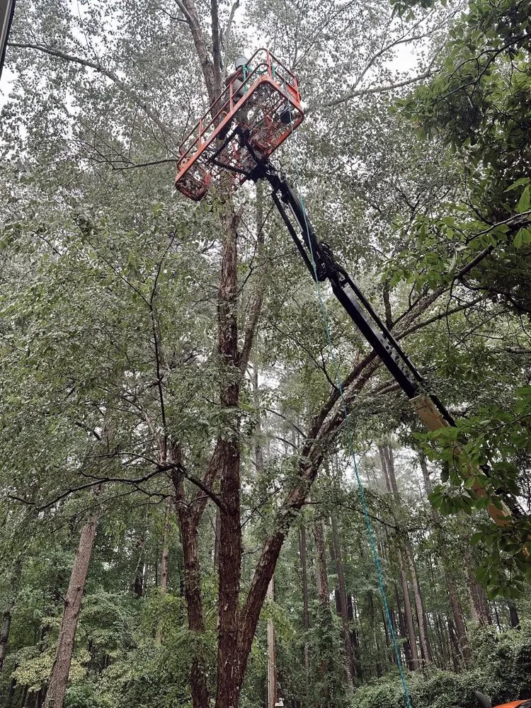 Custom outdoor landscaping in Westminster, SC - Upstate Lawn & Land