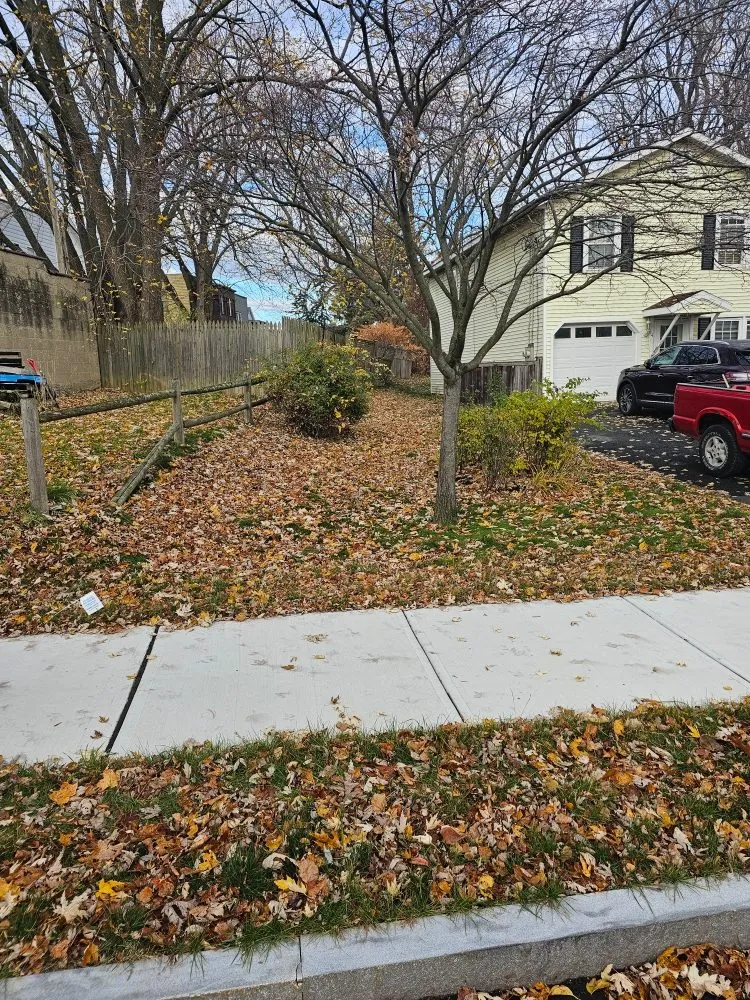 Reliable landscape design for residential properties in Albany, NY by Upstate Lawn Kings