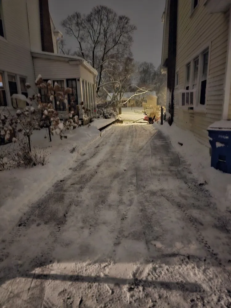 Professional landscaping services in Albany, NY - Upstate Lawn Kings