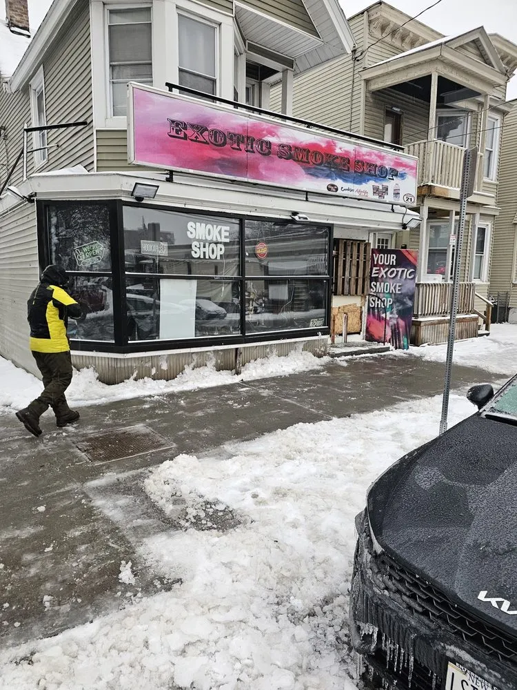 Professional outdoor landscaping in Albany, NY by Upstate Lawn Kings