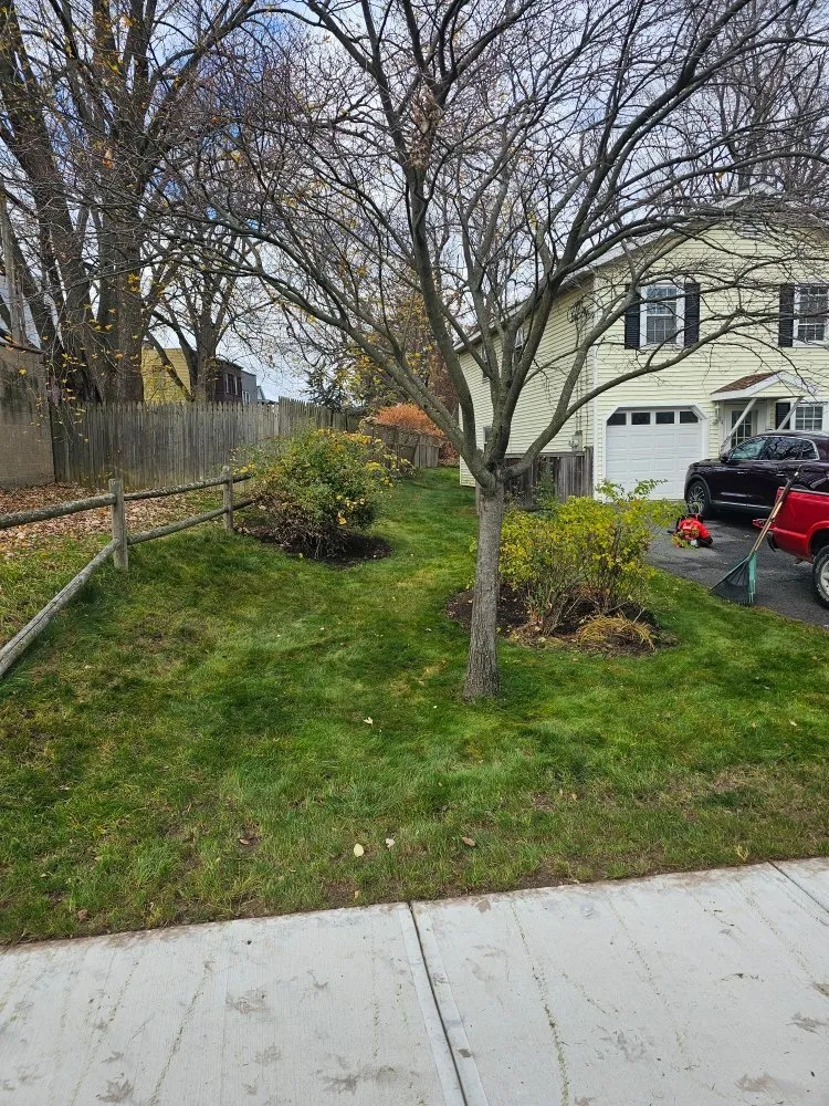 Local landscape installation experts serving Albany, NY - Upstate Lawn Kings