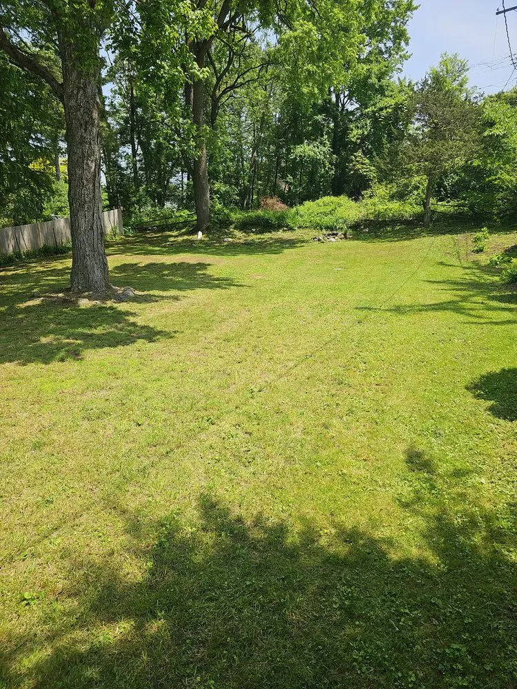 Professional outdoor landscaping in Albany, NY by Upstate Lawn Kings