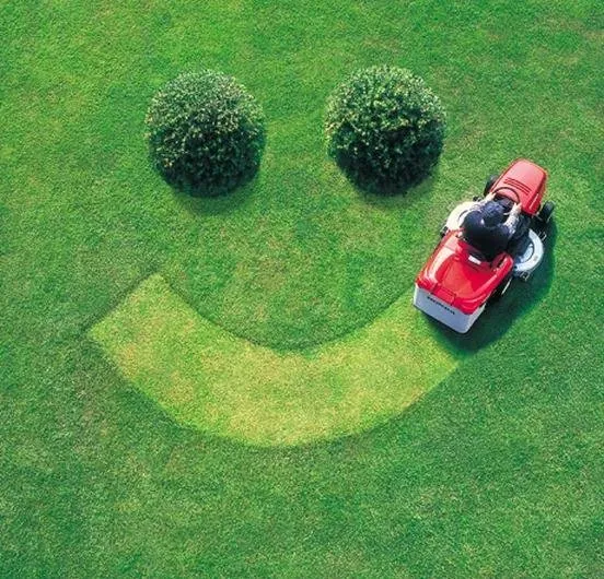 Trusted yard cleanup service experts serving Vinemont, AL - Upstate Property Maintenance
