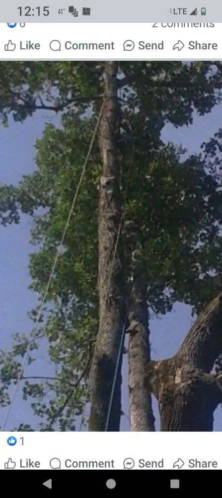 Trusted yard maintenance for homes in Powdersville, SC by Upstate Tree and Landscaping