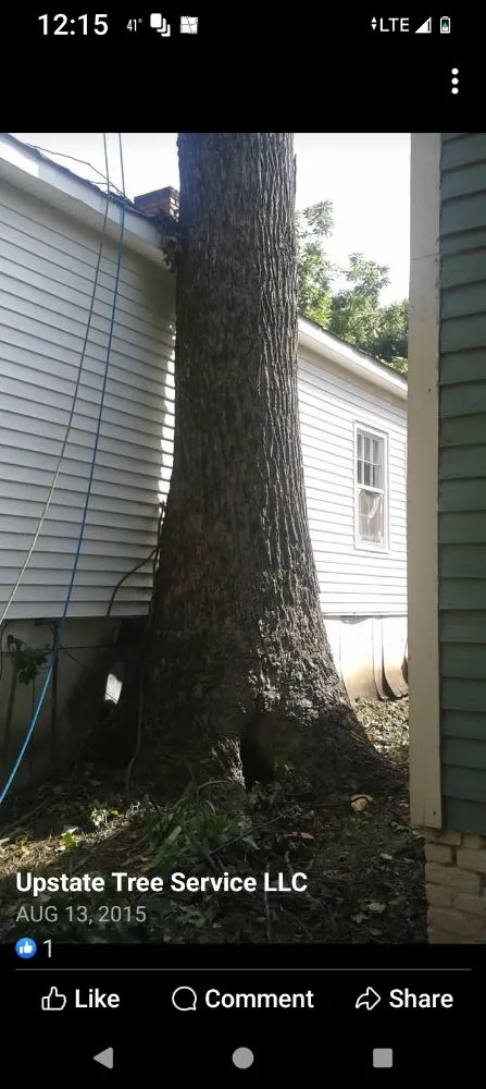 Affordable lawn care service experts serving Powdersville, SC - Upstate Tree and Landscaping