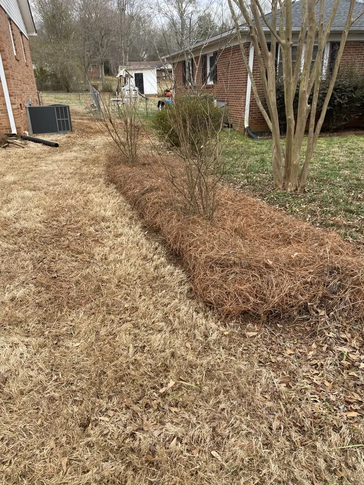 Affordable landscaping services for outdoor upgrades in Easley, SC by Upstate Turf & Landscape