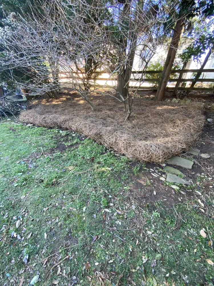 Reliable garden landscaping for beautiful yards in Easley, SC by Upstate Turf & Landscape