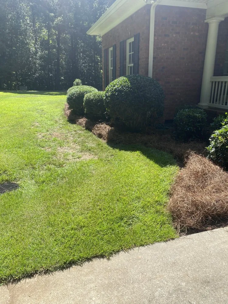 Professional outdoor landscaping with custom design in Easley, SC by Upstate Turf & Landscape