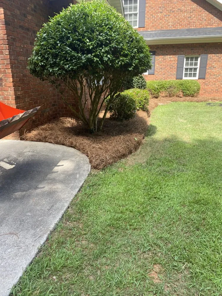 Local garden landscaping for beautiful yards in Easley, SC by Upstate Turf & Landscape