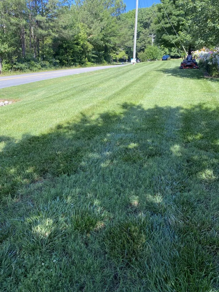 Affordable landscape installation experts serving Easley, SC - Upstate Turf & Landscape