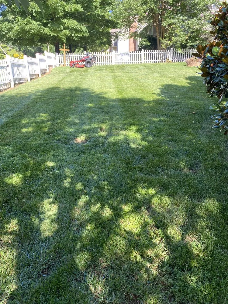 Expert residential landscaping in Easley, SC - Upstate Turf & Landscape