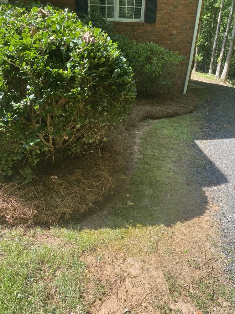 Top-rated landscape design for outdoor upgrades in Easley, SC by Upstate Turf & Landscape