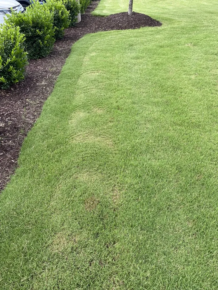 Trusted outdoor landscaping in Easley, SC by Upstate Turf & Landscape