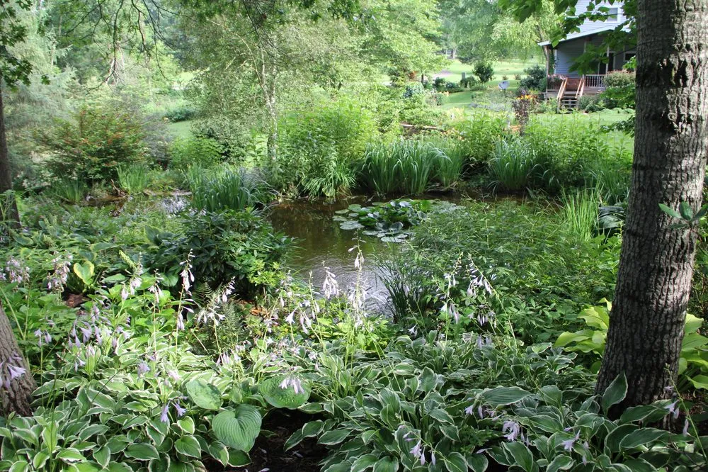Expert lawn care service in Niles, MI - Upstream Waters Landscape