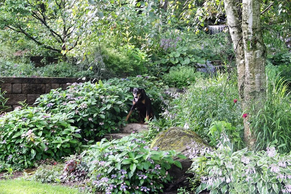 Reliable lawn care service for year-round maintenance across Niles, MI - Upstream Waters Landscape