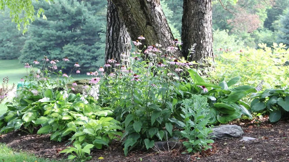 Professional residential landscaping in Niles, MI by Upstream Waters Landscape