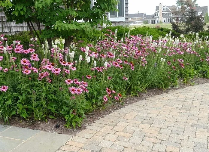 Professional lawn mowing service experts serving Niles, MI - Upstream Waters Landscape