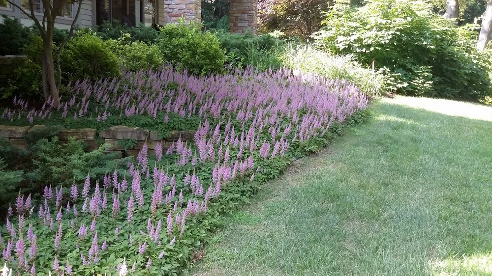 Professional landscape installation in Niles, MI by Upstream Waters Landscape