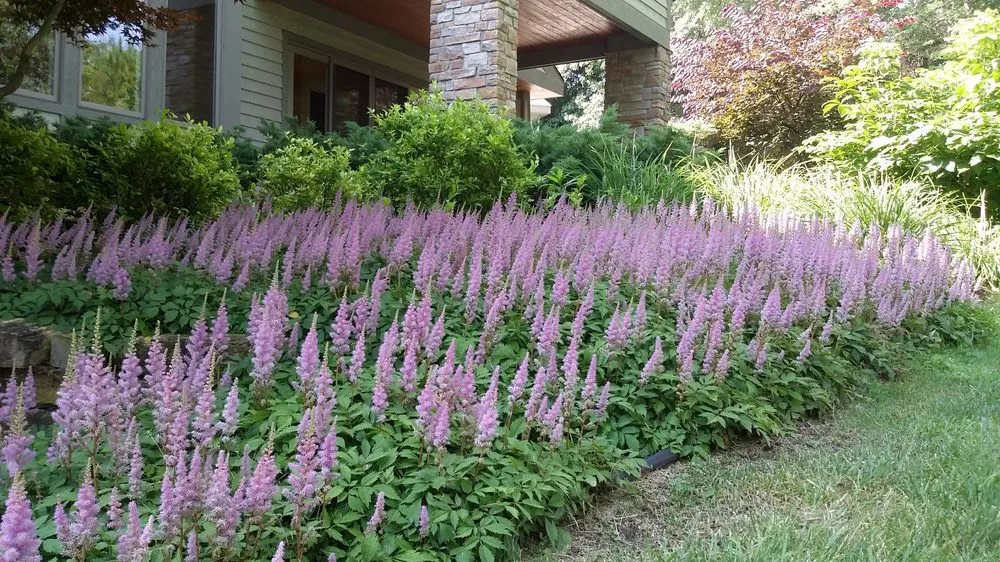 Professional garden landscaping for year-round maintenance in Niles, MI by Upstream Waters Landscape