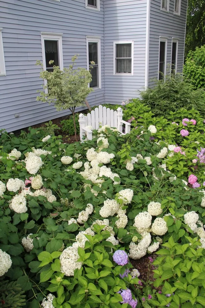 Custom lawn mowing service experts serving Niles, MI - Upstream Waters Landscape