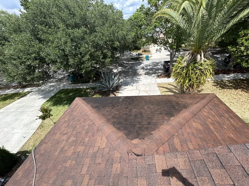 Professional landscaping services in Orlando, FL by Uptomized Services VI