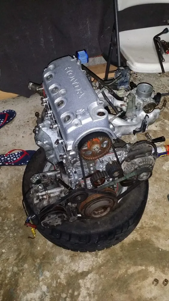 Affordable residential landscaping in Orlando, FL by Uptomized Services VI