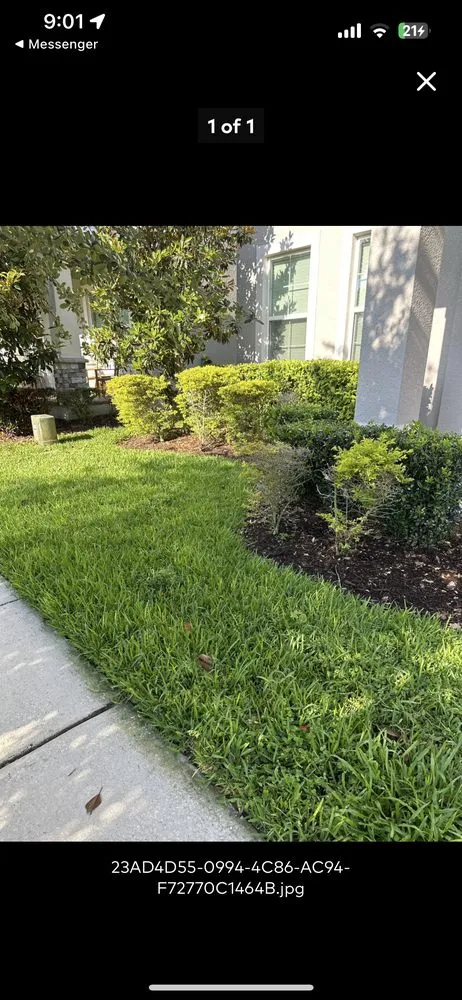 Top-rated garden landscaping for beautiful yards in Orlando, FL by Uptomized Services VI