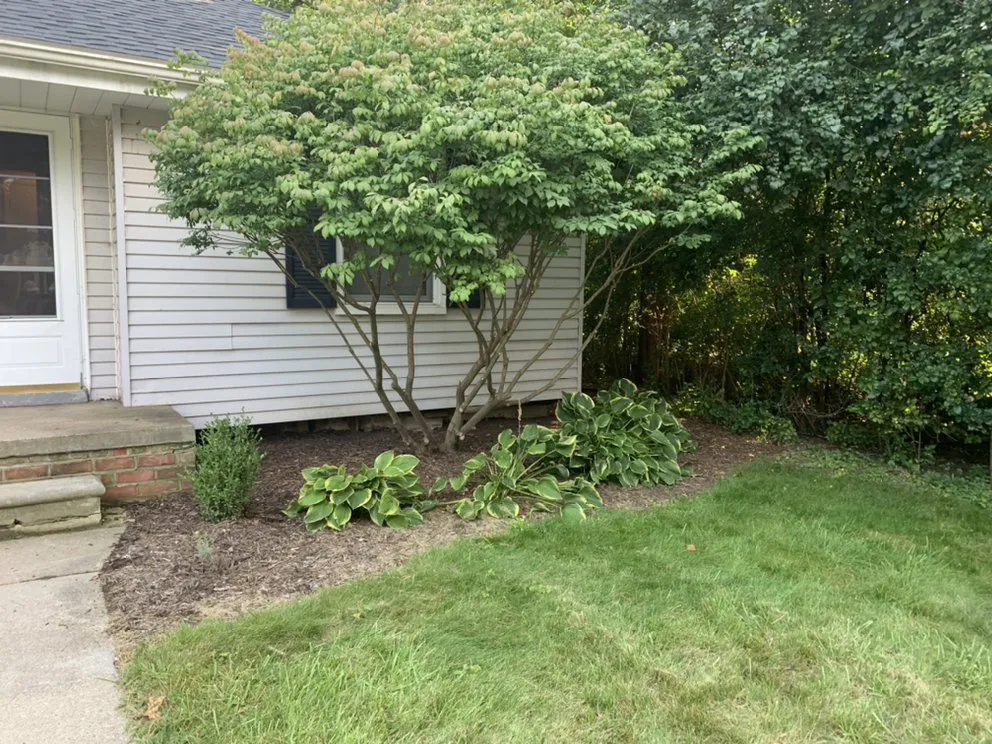 Local lawn mowing service for homes across Farmington Hills, MI - Uptown Botany