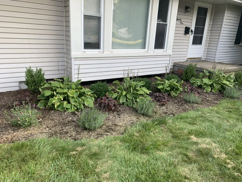 Trusted landscaping services near you in Farmington Hills, MI by Uptown Botany