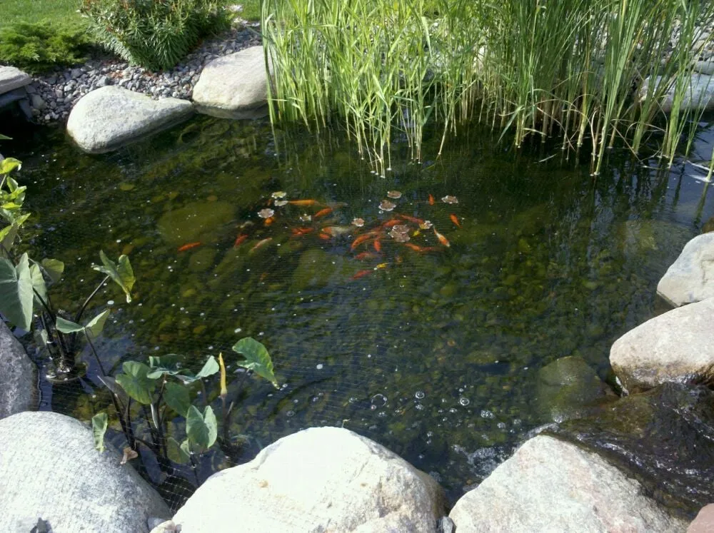 Professional garden landscaping in Minneapolis, MN - Uptown Lawn & Snow