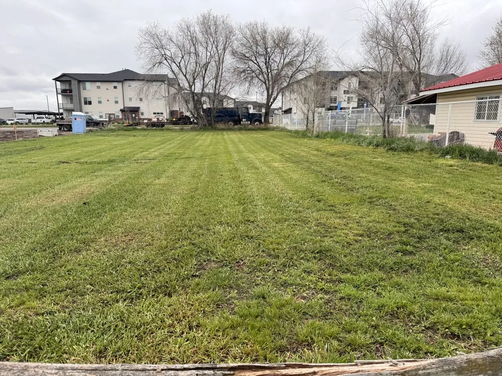 Expert yard cleanup service in Tremonton, UT by UpWard