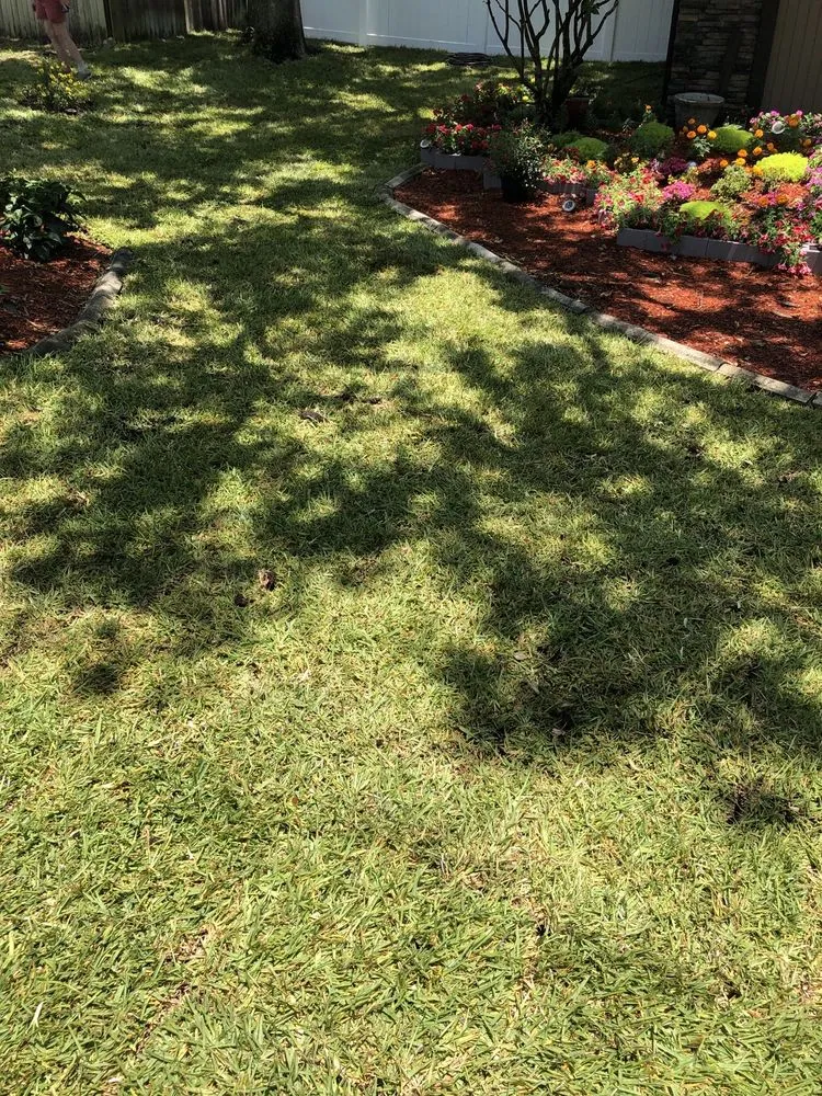 Top-rated garden landscaping in Mulberry, FL - Upzide Down Sod