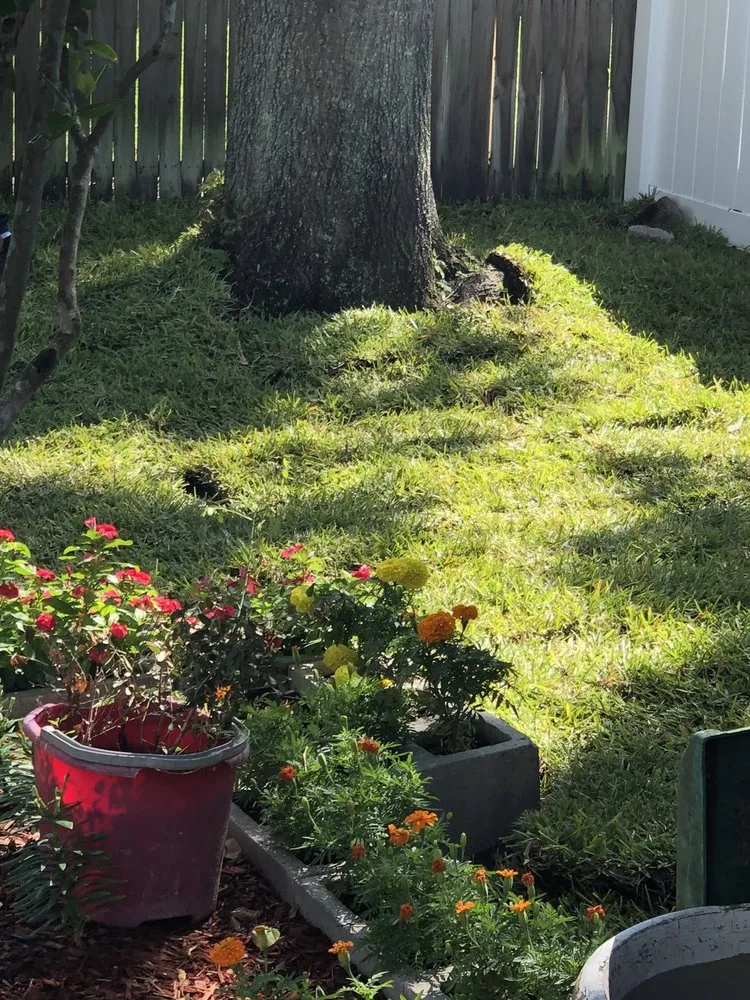 Expert outdoor landscaping for residential properties across Mulberry, FL - Upzide Down Sod