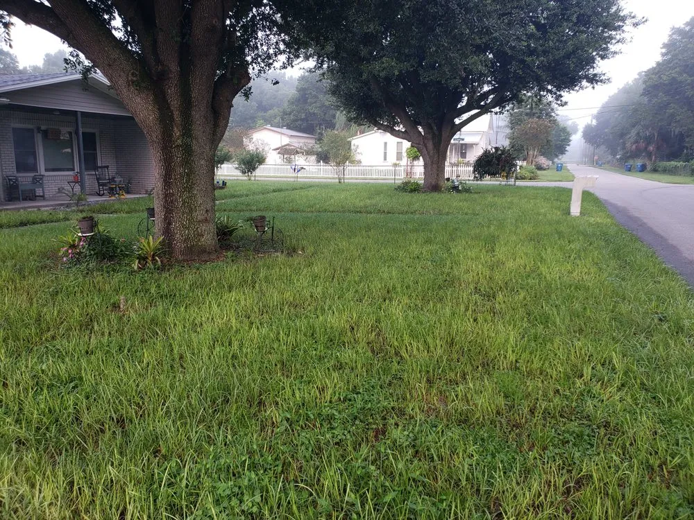 Top-rated yard cleanup service for year-round maintenance in Mulberry, FL by Upzide Down Sod