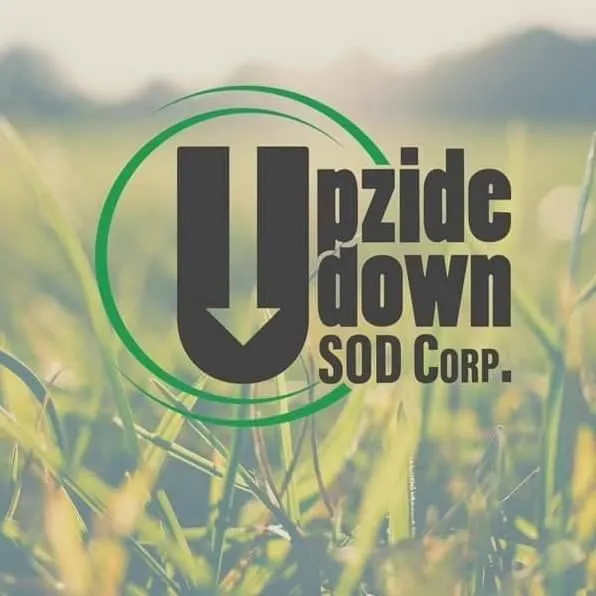 Affordable landscape design for year-round maintenance across Mulberry, FL - Upzide Down Sod