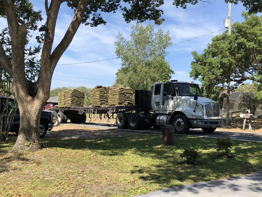 Custom yard cleanup service experts serving Mulberry, FL - Upzide Down Sod
