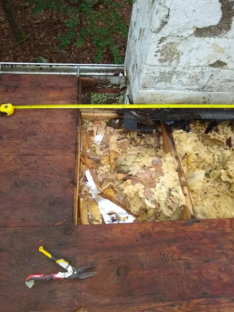 Professional yard maintenance in Kingston, PA - UR Home Hero